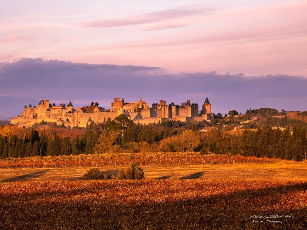 B&B-Les Balcons De Maragon Carcassonne Zewnętrze zdjęcie